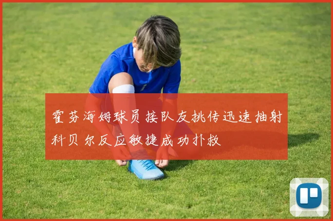 霍芬海姆球员接队友挑传迅速抽射科贝尔反应敏捷成功扑救